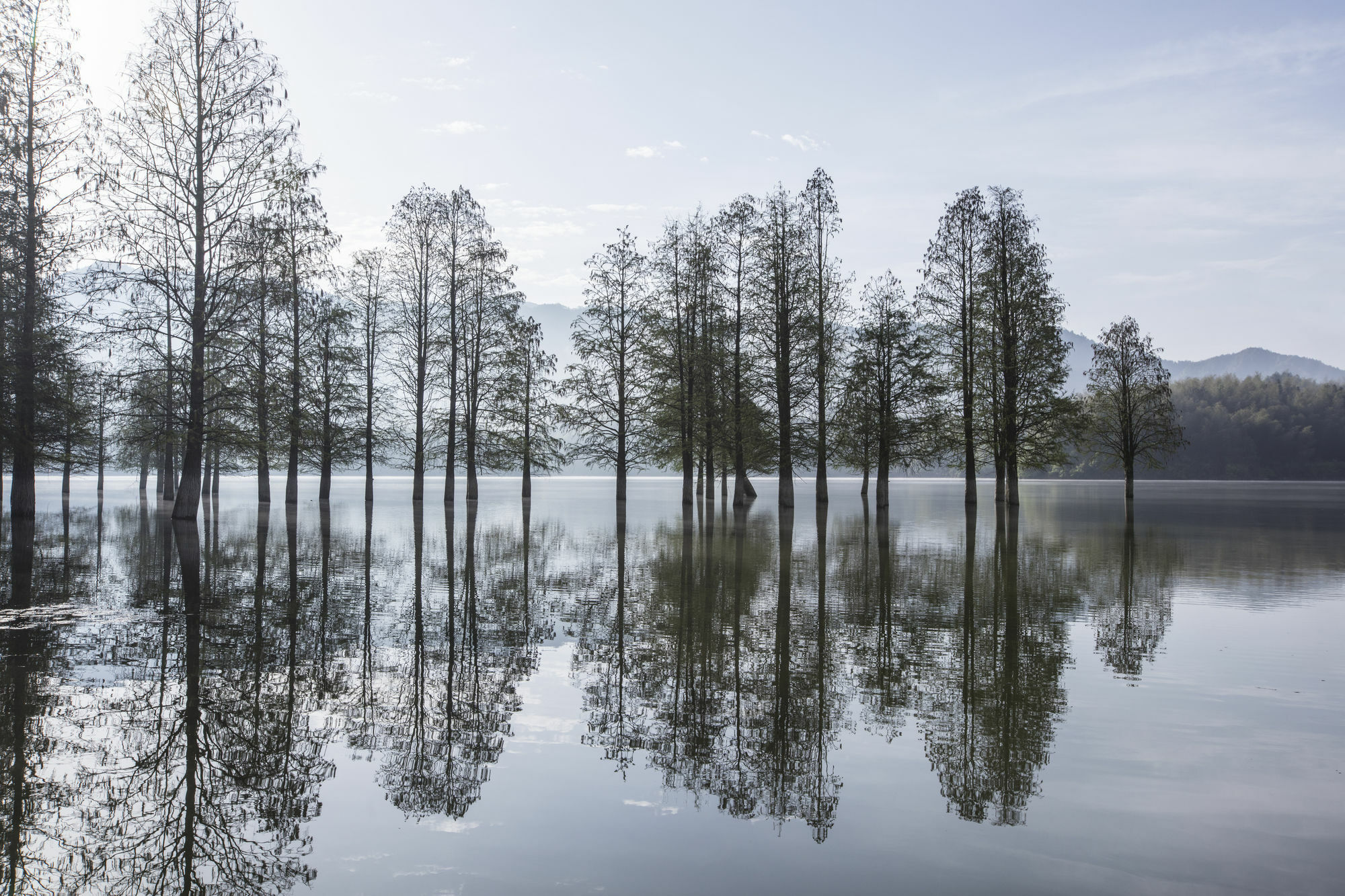 Banyan Tree Hotel Huangshan-The Ancient Charm Of Huizhou, A Paradise Esterno foto